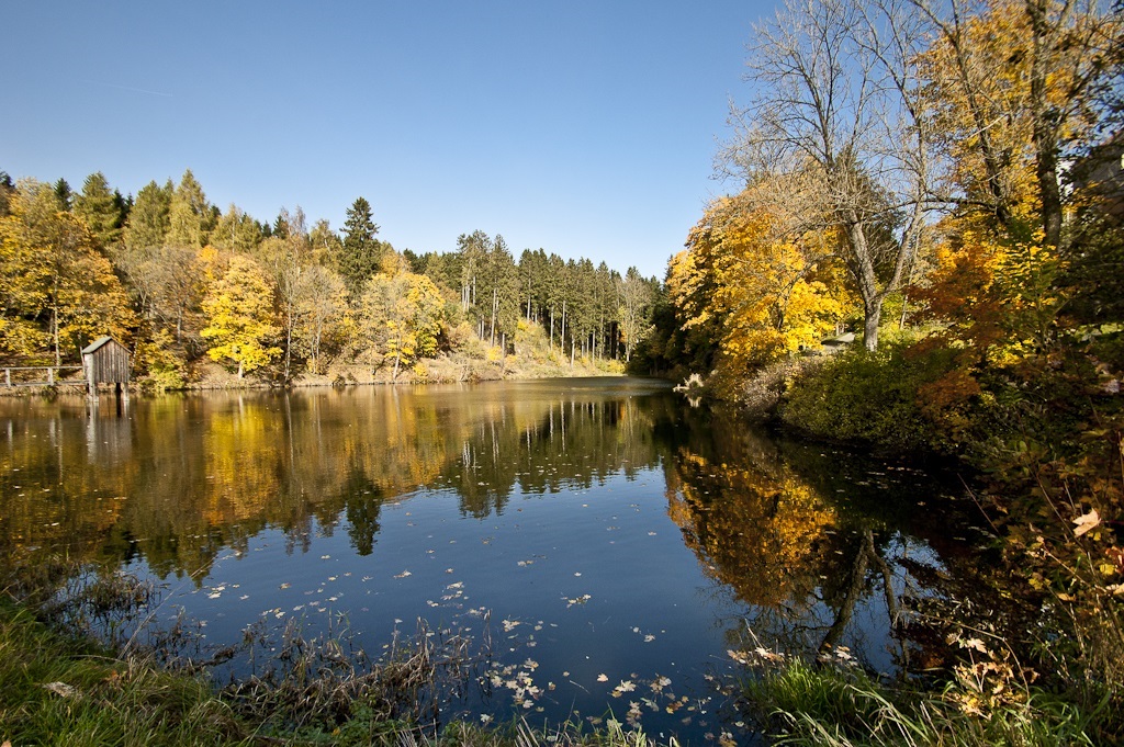 Carler Teich Clausthal-Zellerfeld