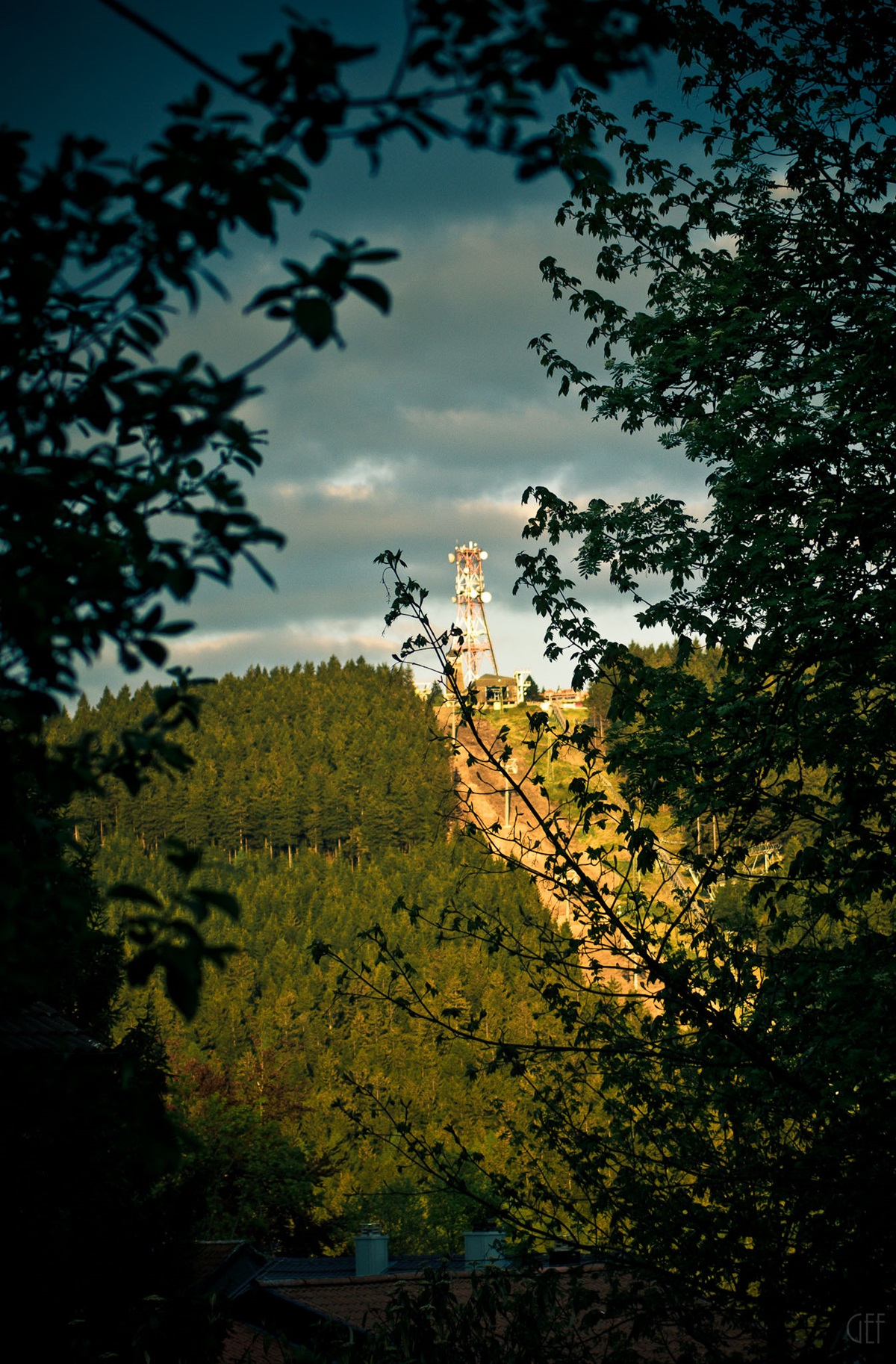 Hahnenklee bocksberg